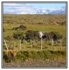 20/IMG_4312 kim site.jpg